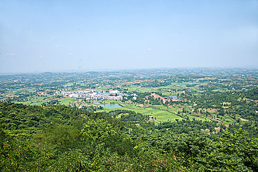 soi cầu bạch thủ 247
