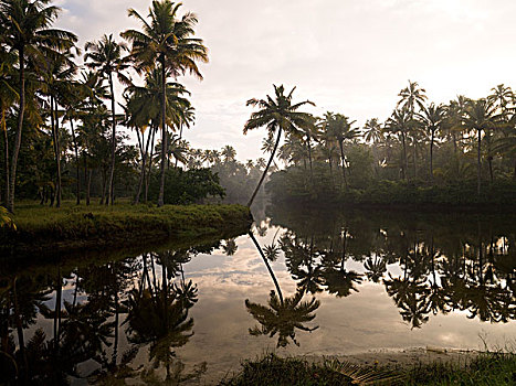dàn đề đẹp hôm nay