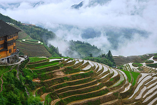 lô đẹp ngày mai