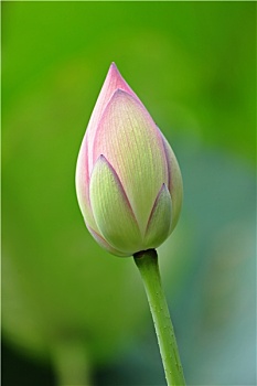 du doan xo so daklak chinh xac