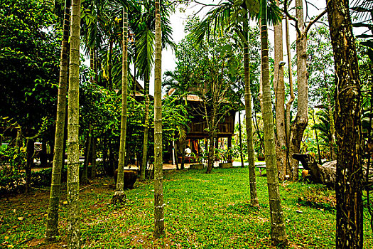 xo so miền nam