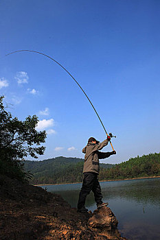 soi cầu lo