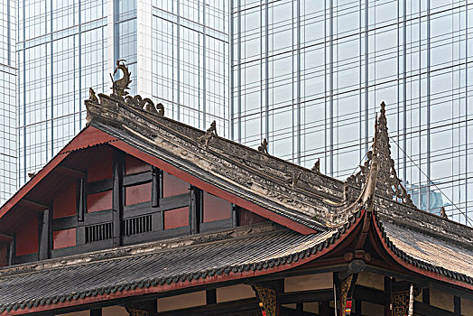 soi cau 8746