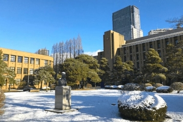 Tôi đã từng bỏ đại học danh tiếng để lựa chọn đi du học vừa học, vừa làm