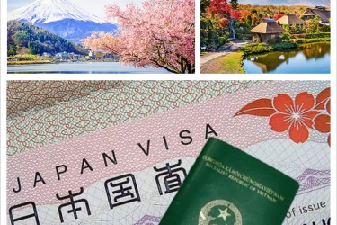 TỶ LỆ ĐỖ CAO HÀNG ĐẦU